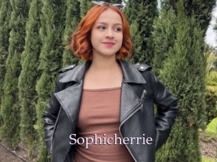 Sophicherrie