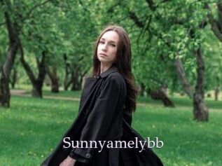 Sunnyamelybb