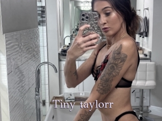 Tiny_taylorr