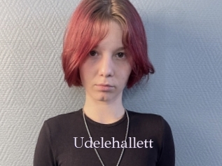 Udelehallett