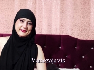Vanezajavis