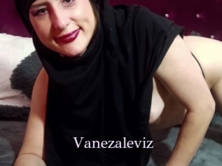 Vanezaleviz