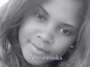 Ynesbrooks