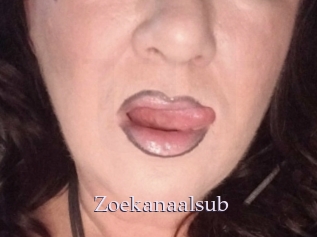 Zoekanaalsub